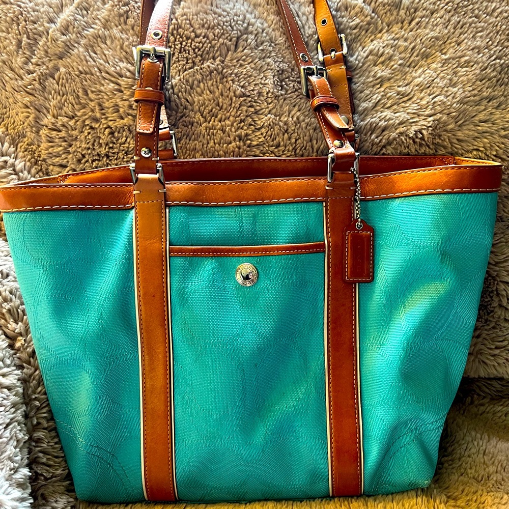 Aqua Coach Tote Bag